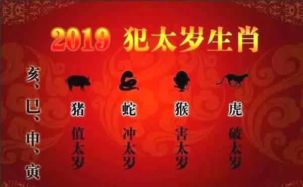 生肖虎男命2023年运势(20231生肖虎男运势运程)