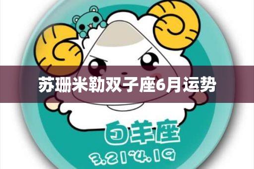 苏珊米勒双子座6月运势