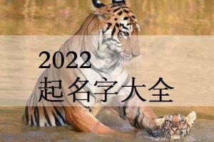 2024年虎宝宝的起名字大全颜姓男孩