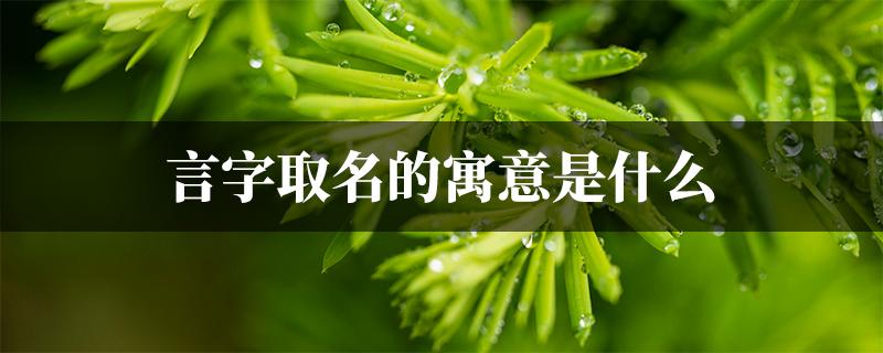 言字取名的寓意是什么