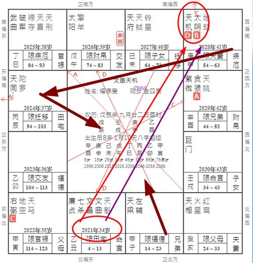 日本福原爱紫微斗数八字盘