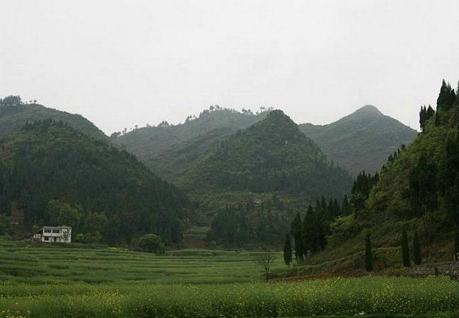 武当王氏风水—中国最权威看风水,风水大师,风水网,风水培训,风水学习