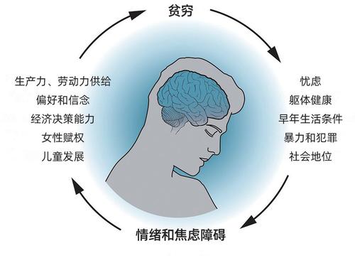 证据与机制: 贫穷与抑郁,焦虑的因果关系