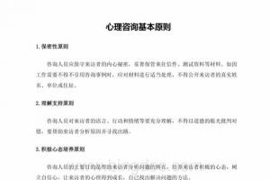 心理咨询基本原则docx