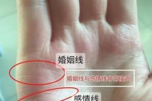 手相怎么看感情线你就说看手相就行