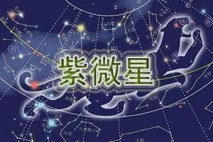 东方星座学紫微斗数主星研究紫微星