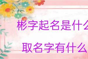 彬字起名是什么意思取名字有什么含义