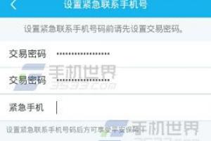 零钱包怎么设置紧急联系人手机号
