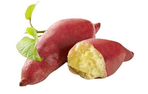 孕妇可以吃红薯吗适量吃红薯让孕期更健康