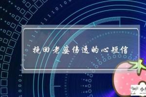 挽回爱情的手机短信(挽回感情的十大必备挽回短信)卜安居