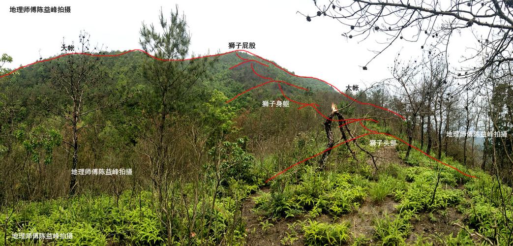 陈益峰:狮子下山,潘家状元祖坟,发丁二十万-建筑风水学-筑龙建筑设计