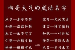 响亮大气的成语名字,宝宝取名字必看_宝宝起名_风景_宝宝取名字_母婴