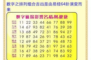 杨派数字能量学号码诊断分析软件 - 手机易学软件(安卓) - 吉祥风水网