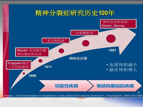 精神分裂症发病机理与治疗理念ppt课件ppt