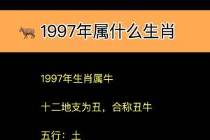 1997属牛人什么时候结婚