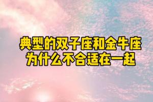 典型的双子座和金牛座为什么不合适在一起