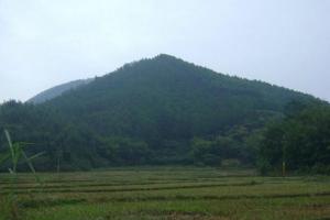 标准墓地风水图欣赏 - 南山秀竹的日志 - 网易博客