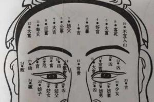 《麻衣神相》面痣男,面痣女详解,值得收藏哦!