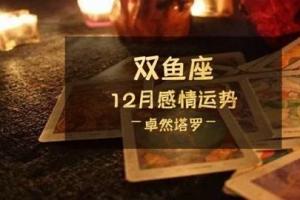 卓然塔罗:2024年双鱼座12月感情运势许你时光荏苒