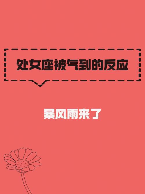 处女座被气到的反应