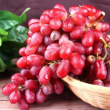 无籽红提新鲜水果克伦生红提子葡萄孕妇时令水果精选无籽红提500g尝鲜