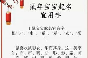 掌握了以下鼠宝宝取名宜用字,大家取名字想必会事半功倍哦