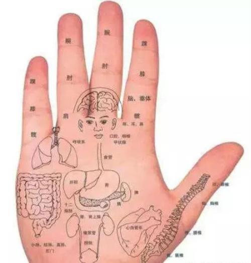 看手相算命图解手相看健康状况图解