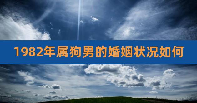 1982年属狗男的婚姻状况如何,70年属狗男2023年感情婚姻