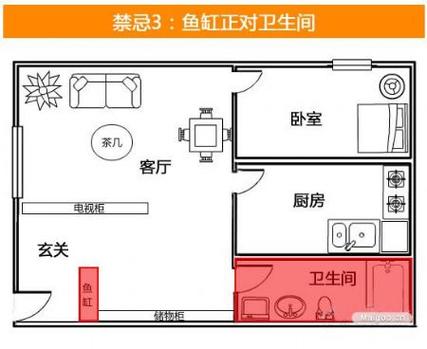 鱼缸摆放风水,你知道多少?小小鱼缸摆出家居好风水