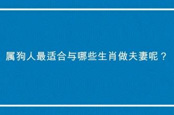 来源:西瓜视频发布时间:2023-01-12肖猴,鸡,狗的人和啥生肖结婚,子女