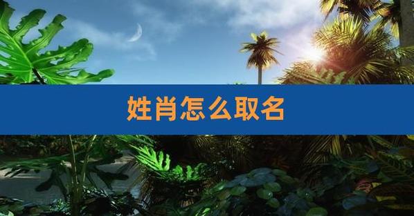 姓肖怎么取名,姓名肖的起名大全