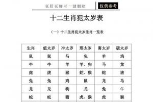 十二生肖犯太岁表表格借鉴