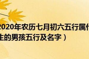 2024年农历七月初六五行属什么2024年农历七月初六出生的男孩五行及