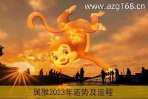 2023属猴下半年运势(属猴的人下半年的运势看看怎么样)