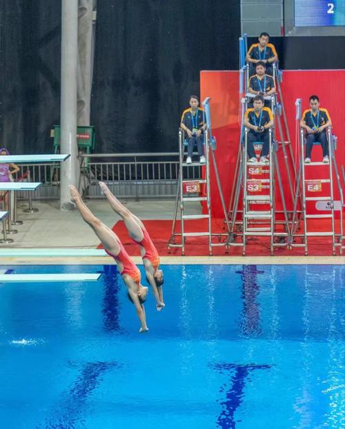 山东省运动会跳水比赛圆满落幕细化组别增设项目创培养人才新路径