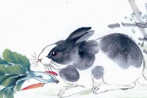 1987年属兔的人2024年运程