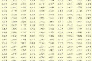 23个字的王姓男孩名字既独特又洋气