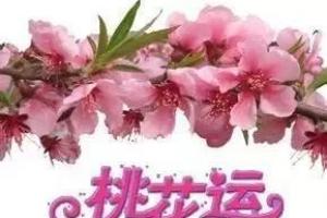 论女性桃花运的四柱八字分析