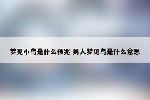 梦见小鸟是什么预兆 男人梦见鸟是什么意思-蓝盟超越网