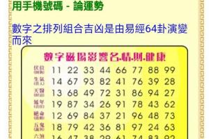 杨派数字能量学八极灵数预测软件安卓版 - 手机易学软件(安卓) 吉祥