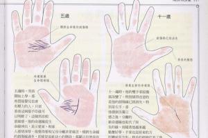 《手相学习百科》:手纹的成长与改变 - 看相算命
