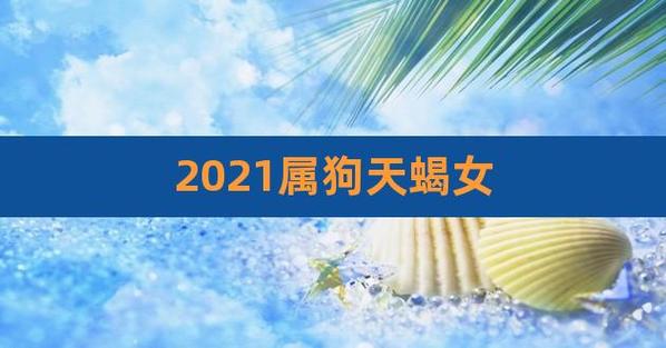 2023属狗天蝎女,天蝎座狗女今年的运势