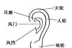 从耳朵便可看面相知天命信不信由你自信的人早已点进来看了