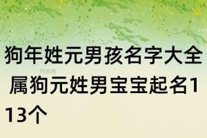 元字辈男孩起名大全男孩名字姓黄中间要元字后面要用什(起名元生)