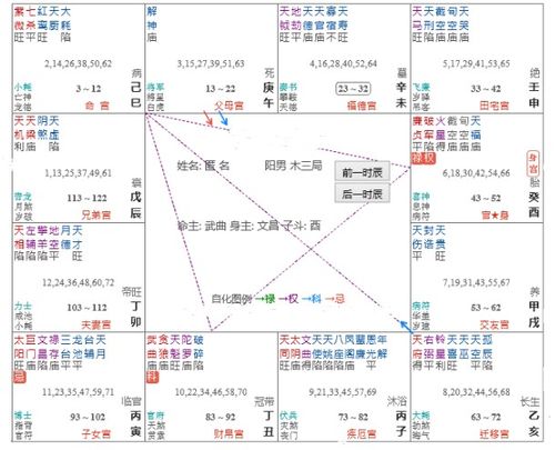 甲年命宫在巳宫紫微星在巳宫同性恋