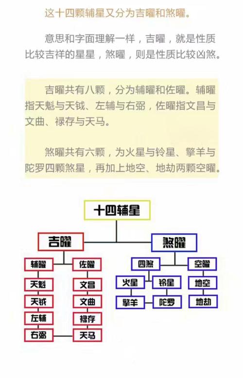 贫富,运势,然后依次列出兄弟宫,夫妻宫,子女宫,财帛宫,疾厄宫,迁移宫