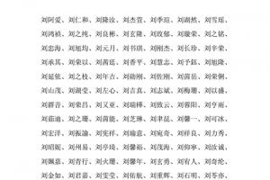 一下刘姓男孩取名鸡年100分一些相关信息汇总组图