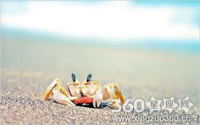 梦见巨型螃蟹是什么预兆?