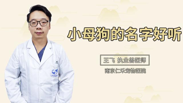 小母狗怎么起名字好听