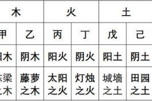 天干地支五行属性查询四柱天干地支查询